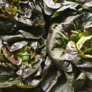 Salade Rougette