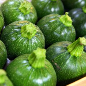 Courgettes rondes