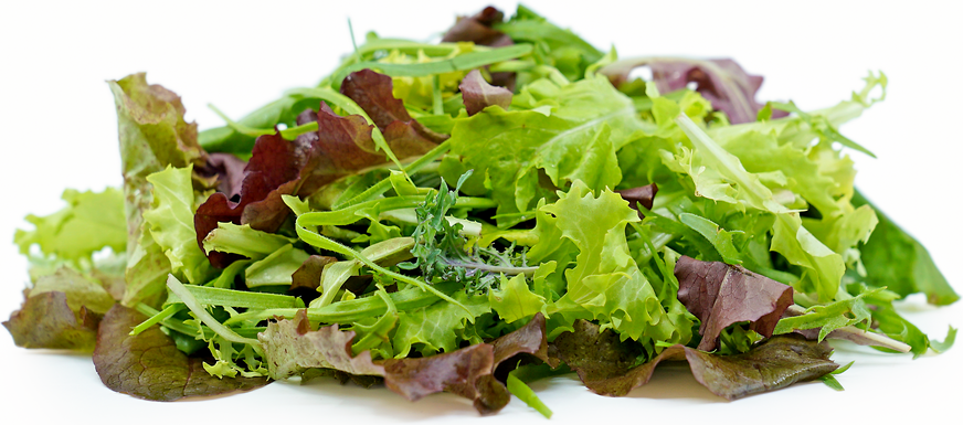 Salade Mesclun