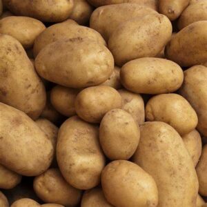 Pomme de terre Monalisa