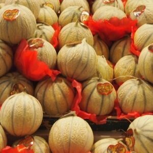 Melon FRANCE
