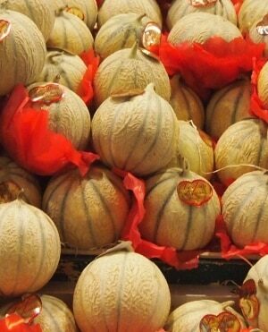 Melon