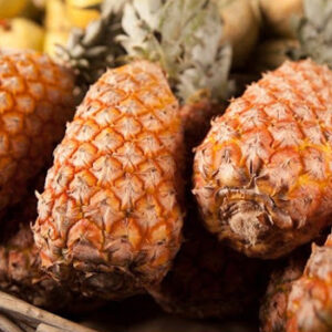 Ananas Pain de Sucre