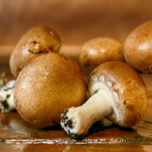 Champignons