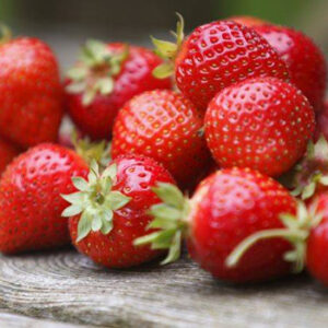 Fraises Gariguettes