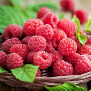 Framboises
