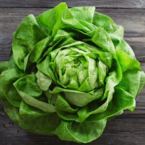 Salade laitue