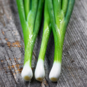 Oignons blancs nouveaux