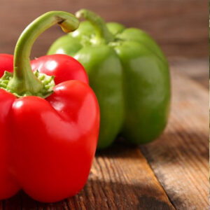 Poivrons verts