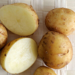 Pomme de terre  grenaille nouvelle
