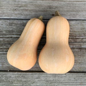 Butternut
