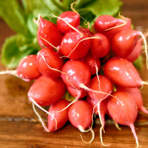Radis rouge