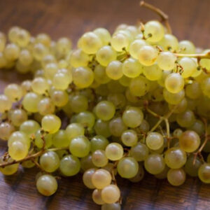 Raisins Chasselas