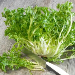 Salade Frisée