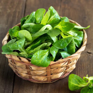 Salade Mâche