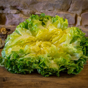 Salade Scarole