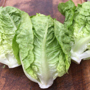 Salade Sucrine