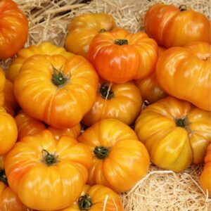 Tomates Ananas