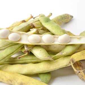 Haricots à écosser de PAIMPOL