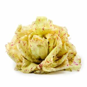 Castelfranco