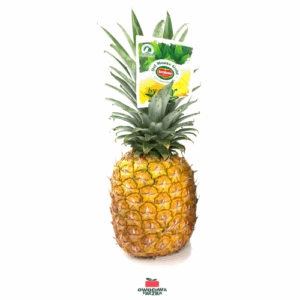 Ananas Gold Del Monte (2kg environ)