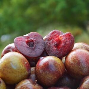 Prunes Lovita