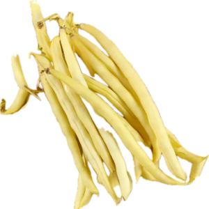 Haricots beurres