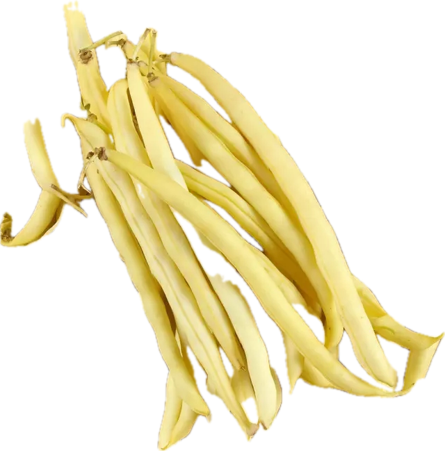 Haricots beurres
