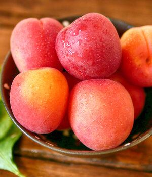 Abricots promo 1,5 kg